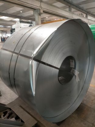 Immagine di 2311300092